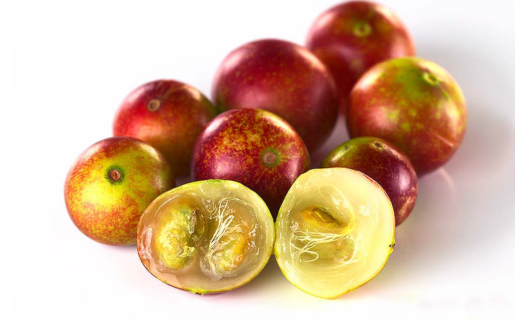 Beneficios Del Camu Camu En Tu Salud Diaria 9 camu camu