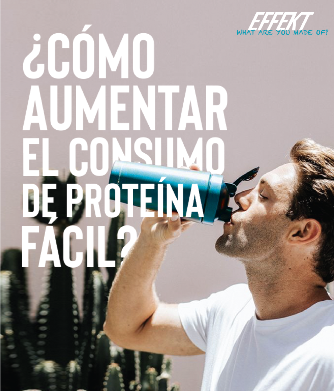 ¿Cómo escoger el suplemento de proteína correcto?